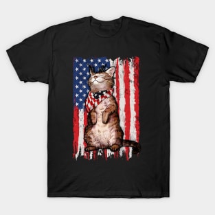 Red White Blue Cats USA Flag Firework 4th Of July Shirt T-Shirt